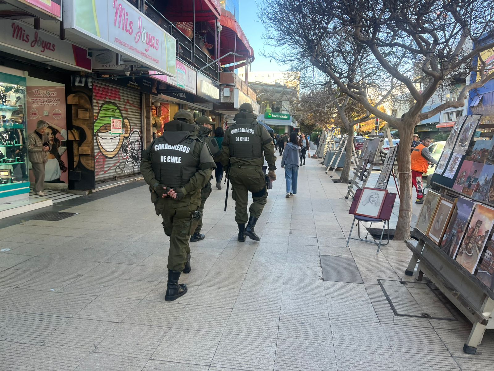 Ronda Impacto en Viña del Mar deja 20 detenidos y cinco vehículos retirados de circulación