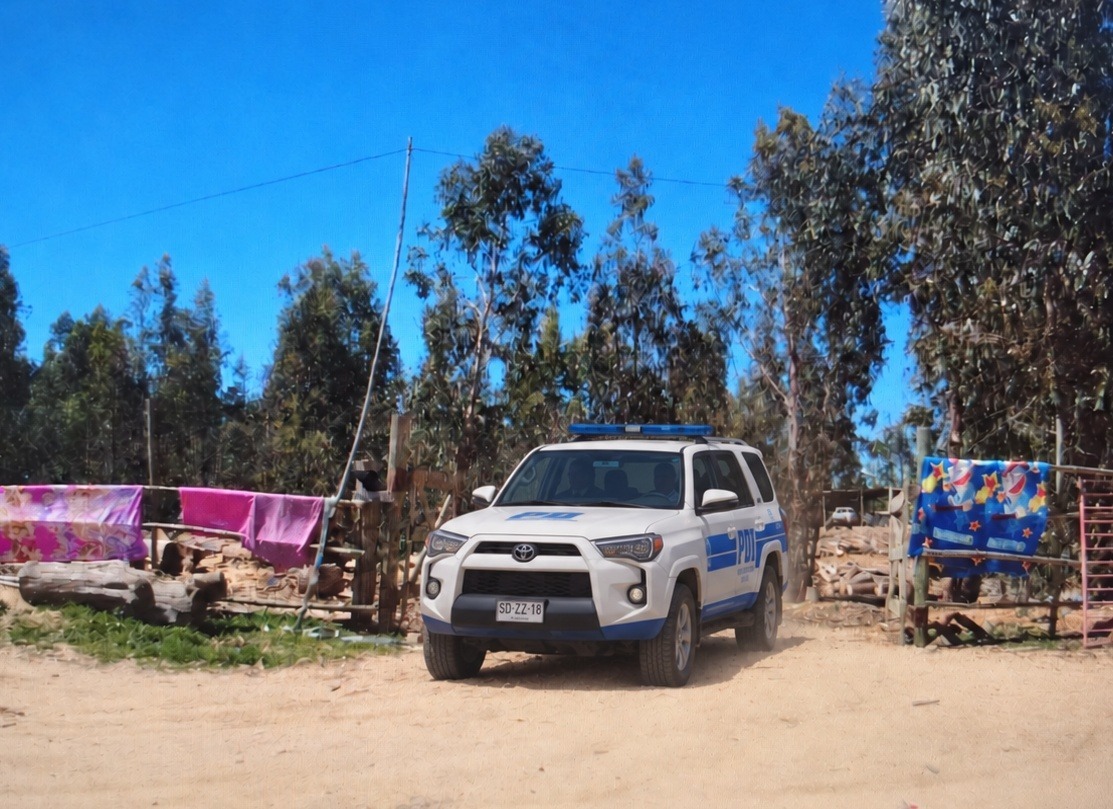 Detienen a hombre por maltrato animal y faenamiento clandestino en Placilla